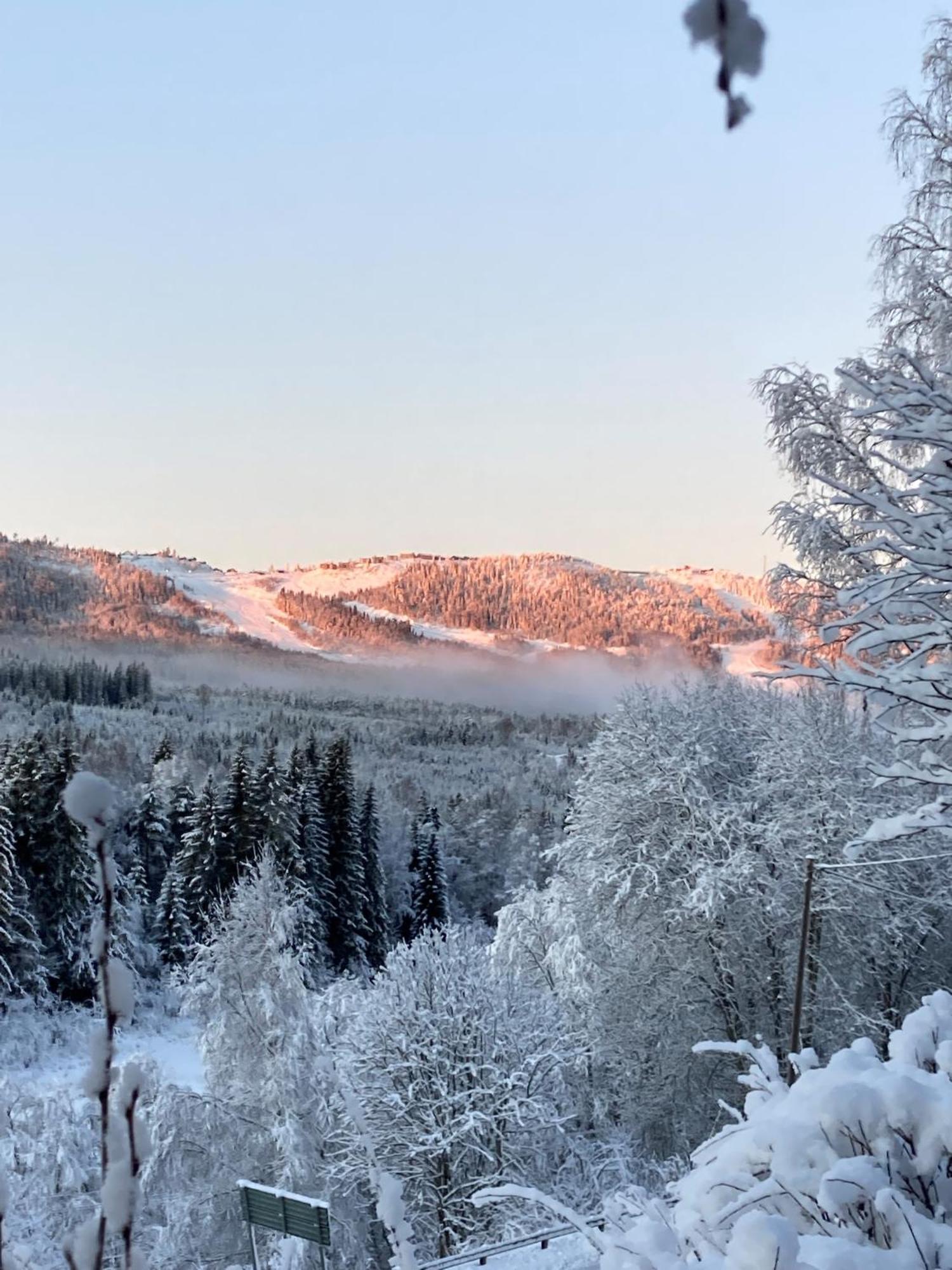 Charmig Villa Med Bastu Och Snabbt Wifi Långav 외부 사진